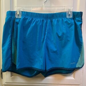 Patagonia Gray and Blue Women's Shorts